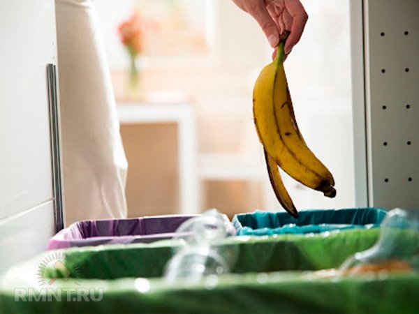 Неприятный запах от мусорного ведра: причины и способы борьбы
 
Неприятный запах от мусорного ведра: причины и способы борьбы