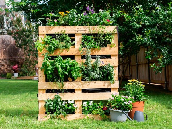 





Обустройство сада и&nbsp;огорода для&nbsp;пожилых владельцев



