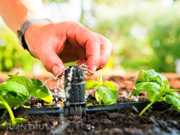 Что увеличивает счета за электричество летом
 
Что увеличивает счета за электричество летом