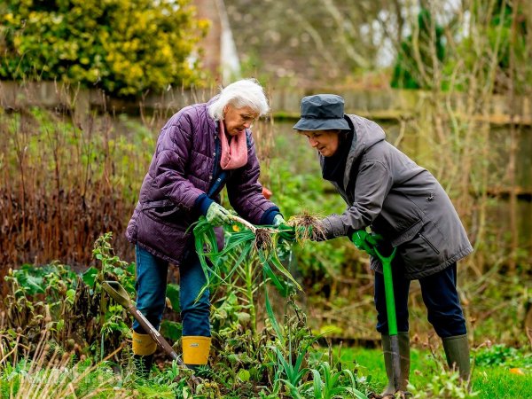 





Обустройство сада и&nbsp;огорода для&nbsp;пожилых владельцев



