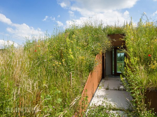 





Современный дом-землянка с&nbsp;минималистичным интерьером



