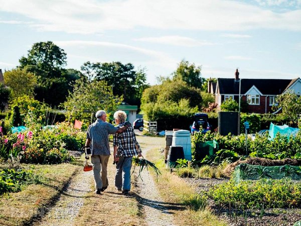 





Обустройство сада и&nbsp;огорода для&nbsp;пожилых владельцев



