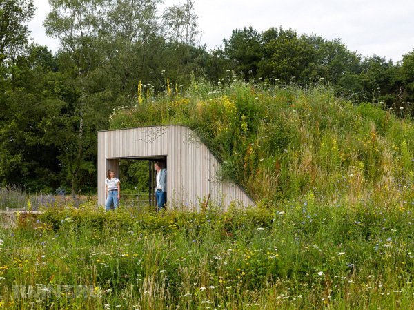 





Современный дом-землянка с&nbsp;минималистичным интерьером



