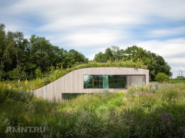 





Современный дом-землянка с&nbsp;минималистичным интерьером



