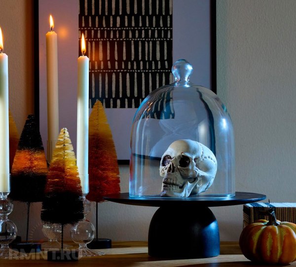 





Что такое клош и&nbsp;как может использоваться в&nbsp;дизайне интерьеров



