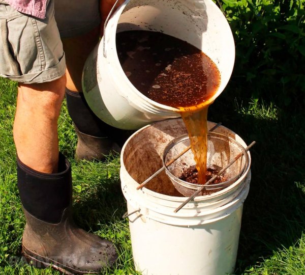 





Как сделать и&nbsp;использовать компостный чай



