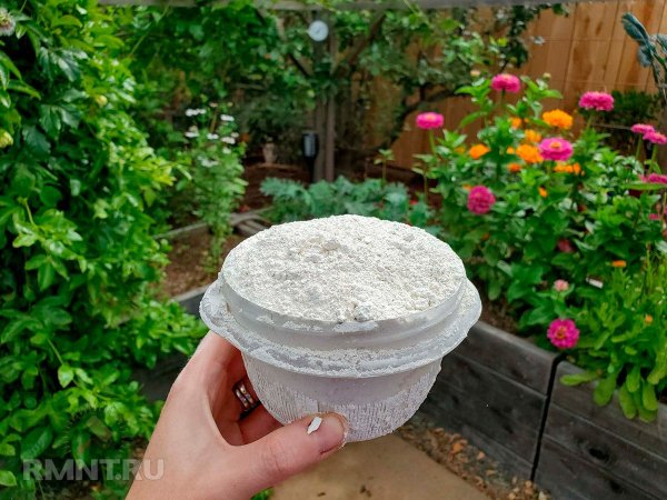 





Средства борьбы с&nbsp;насекомыми, которые вредят растениям



