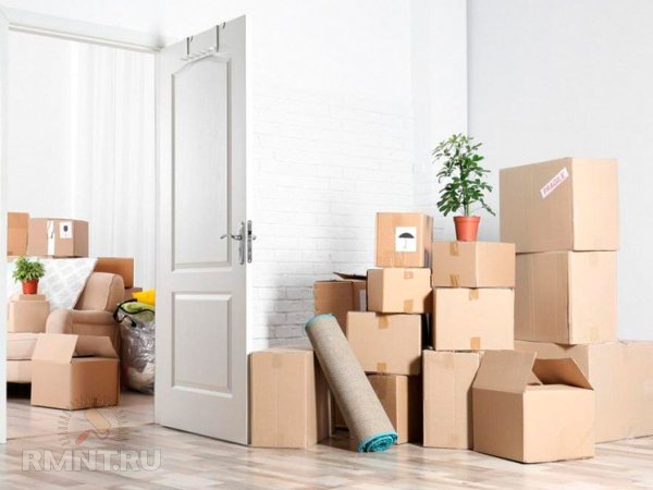 





Что чаще всего забывают во&nbsp;время переезда



