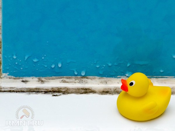 





Как справиться с&nbsp;конденсатом в&nbsp;ванной комнате



