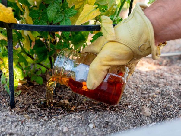 





Как сделать и&nbsp;использовать компостный чай



