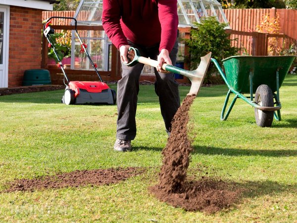 Как подкормить газон без химикатов
 
Как подкормить газон без химикатов