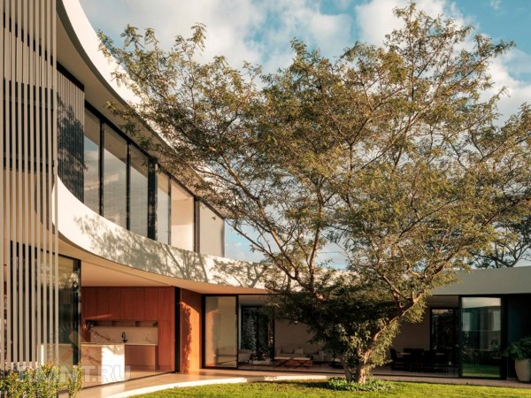 Дом, построенный вокруг дерева
 
Дом, построенный вокруг дерева