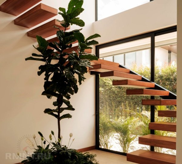 Дом, построенный вокруг дерева
 
Дом, построенный вокруг дерева