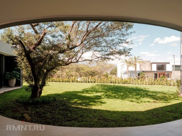 





Дом, построенный вокруг дерева



