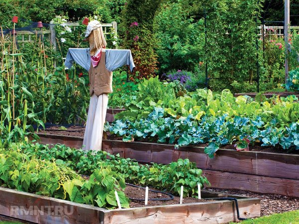 Подготовка высоких грядок к зиме
 
Подготовка высоких грядок к зиме