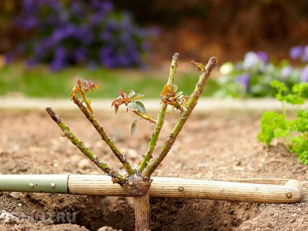 





Вещи для&nbsp;патио и&nbsp;сада, которые выгодно покупать осенью



