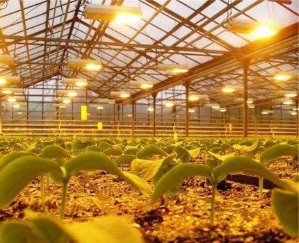 Натриевые лампы: разновидности, технические параметры, сфера применения + правила выбора Натриевые лампы: разновидности, технические параметры, сфера применения + правила выбора