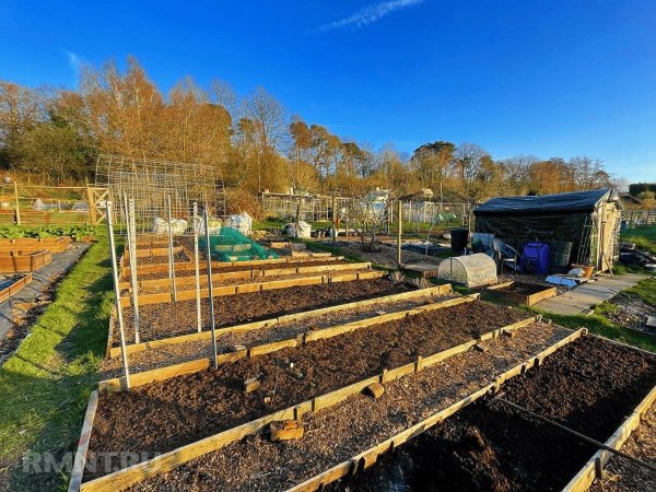 Подготовка высоких грядок к зиме
 
Подготовка высоких грядок к зиме