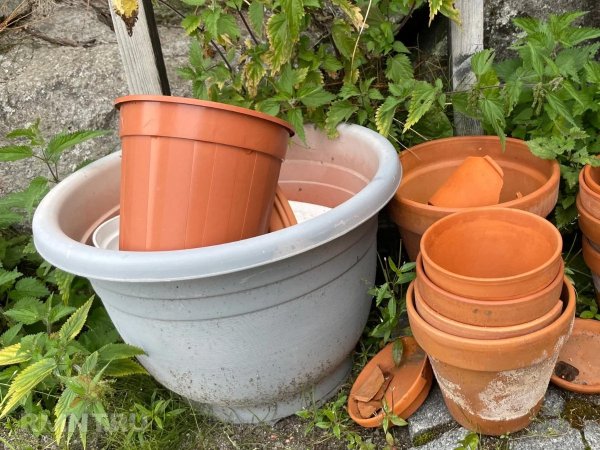 Как защитить контейнеры и вазоны в зимние холода
 
Как защитить контейнеры и вазоны в зимние холода