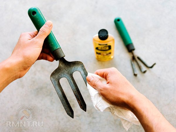 





Как подготовить садовые инструменты к&nbsp;зимнему хранению



