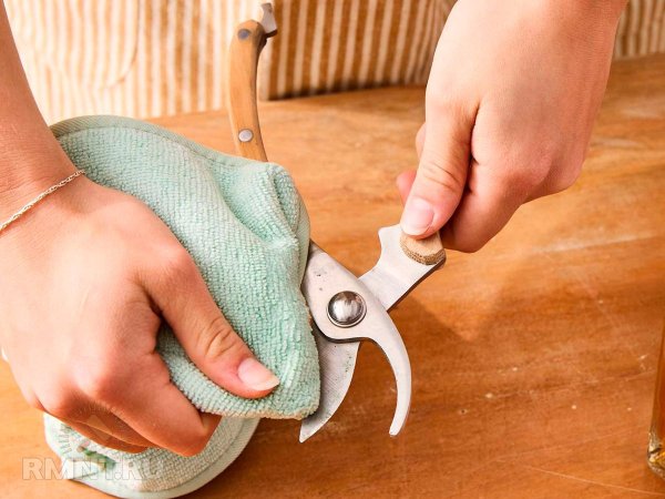 





Как подготовить садовые инструменты к&nbsp;зимнему хранению



