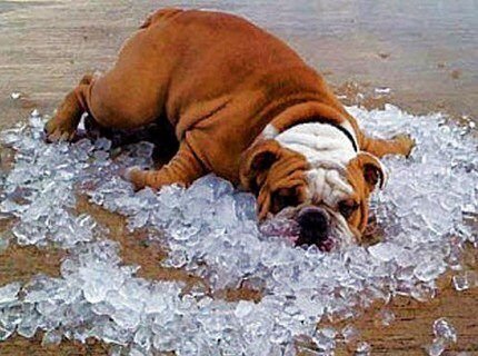 Как найти воду для скважины: обзор эффективных методов поиска водоносного слоя Как найти воду для скважины: обзор эффективных методов поиска водоносного слоя