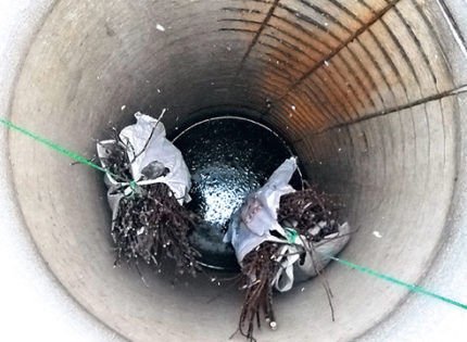 Дезинфекция воды в колодце: особенности проведения процедуры обеззараживания Дезинфекция воды в колодце: особенности проведения процедуры обеззараживания