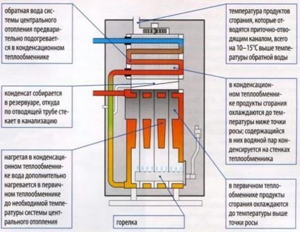 Настенные газовые котлы отопления: виды, как выбрать, обзор лучших моделей на рынке