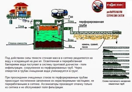 Бактерии для септиков &laquo;Доктор Робик&raquo;: советы при покупке и инструктаж по применению