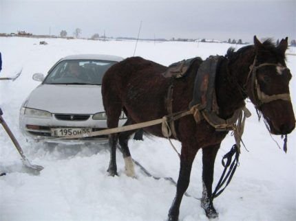 Перевод киловатт в лошадиные силы: сколько ЛС в одном кВт + принципы и способы вычислений