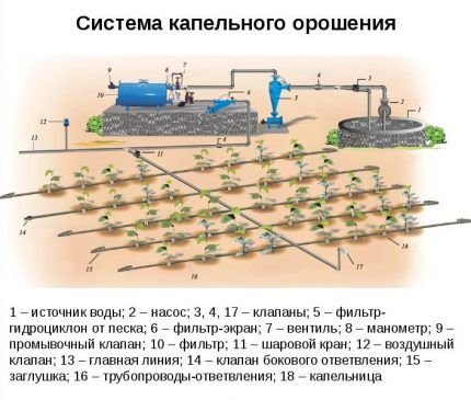 Труба для капельного полива: на что ориентироваться при выборе + правила работы с ним Труба для капельного полива: на что ориентироваться при выборе + правила работы с ним